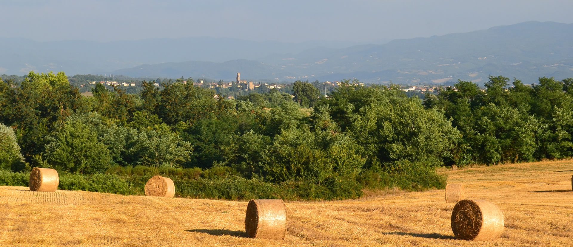 Case in vendita Mugello